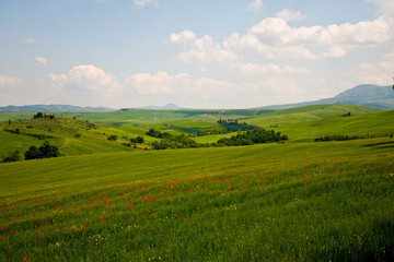 Val d'Orcia, panorami delle colline in primavera
