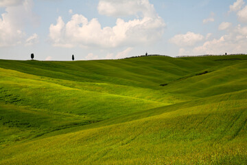 Val d'Orcia, panorami delle colline in primavera