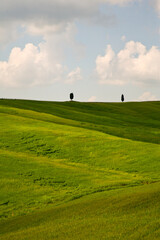 Val d'Orcia, panorami delle colline in primavera