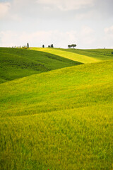 Val d'Orcia, panorami delle colline in primavera