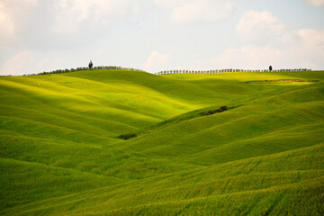 Val d'Orcia, panorami delle colline in primavera