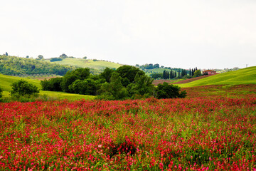Val d'Orcia, panorami delle colline in primavera