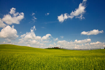 Val d'Orcia, panorami delle colline in primavera