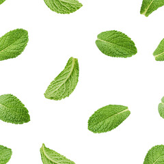 Mint leaves, spearmint isolated on white background, SEAMLESS, PATTERN
