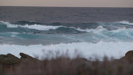 Rocky craggy pacific ocean coast, sea wave crashing on rocks, 17-mile drive, Monterey California USA. Dramatic nature near Point Lobos, Big Sur, Pebble beach. Birds flying. Seamless looped cinemagraph
