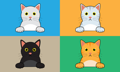 Cat kitten 4 color set vector white black orange grey cat character.