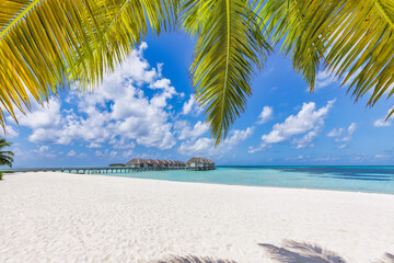 Fantastic Maldives land beach, coastline with palm trees, white sand and water villas. Luxury summer destination scenic, travel landscape. Beautiful exotic seaside nature beach. Amazing resort holiday