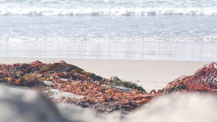 Big blue ocean waves crashing on beach, California pacific coast, USA. Sea water foam, kelp seaweed algae and white sand. Summertime shore aesthetic seascape. Surfing vibe. Seamless looped cinemagraph - obrazy, fototapety, plakaty
