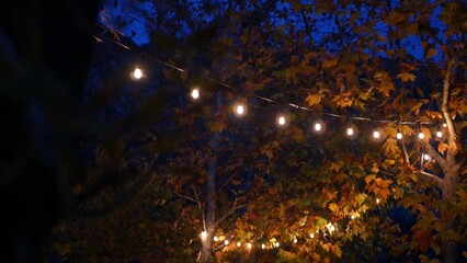 Yellow or orange autumn maple tree leaves and glowing garland in cozy twilight. Romantic...