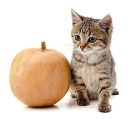 Kitten with a pumpkin.