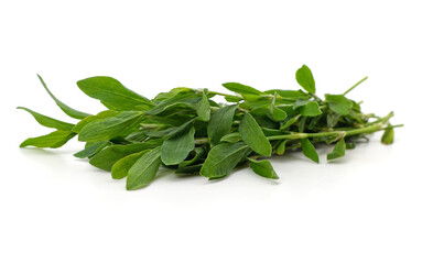 Bunch of green knotweed.