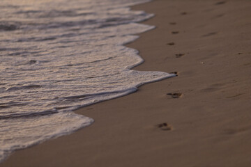 Human footprints left on the wet sand on the beach.The beautiful sea coast is washed by a wave.A...