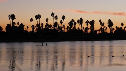 Palm trees silhouettes on sunset ocean beach, California coast, USA. Reflection of purple pink orange sky in calm water of Mission Bay Park, San Diego. People kayaking, paddling, rowing or canoeing.
