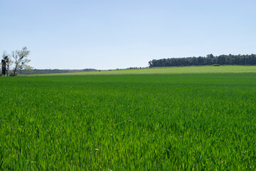 Paisaje con campos de cultivo en primavera bosques. 