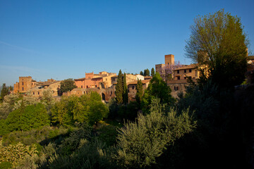 Fototapeta na wymiar Certaldo, Toscana, Siena
