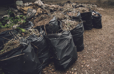 Waste palms leaves in the garbage bag