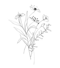 Botanic outline wildflower bouquet. Hand drawn floral abstract pencil sketch field flower arrangement isolated on white background line art illustration - obrazy, fototapety, plakaty
