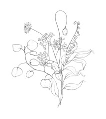 Botanic outline wildflower bouquet. Hand drawn floral abstract pencil sketch field flower arrangement isolated on white background line art illustration