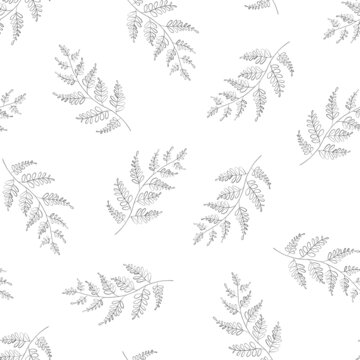 Seamless pattern with botanic outline branch, leaves. Hand drawn floral abstract pencil sketch plant on white background line art illustration for textile, fabric, packaging