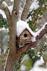 Snow Covered Birdhouse