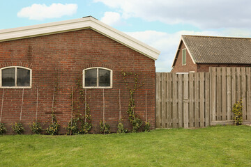 Obraz premium Spacious backyard with lush green grass, wooden fence and climbing plants growing on building wall