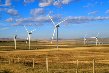 Wind Turbine Windmill Renewable Energy Alberta Canada