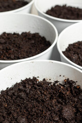 Potted soil with peat in metal pots. Growing greens or flowers at home concept.