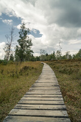 Hohes Venn - Holz Weg