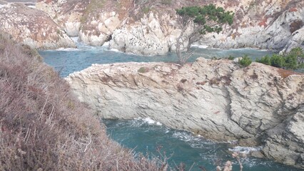Coniferous pine cypress tree, bare rock, crag or cliff, ocean beach, blue sea water waves in bay....
