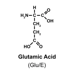 Fotobehang Glutamic Acid Amino Acid Chemical Structure. Vector Illustration. © Ali