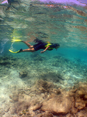 
snorkeling in a caribbean island, summer vacation in Venezuela