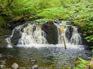 Fototapeta na wymiar Waterfalls in Glenariff Forest Park in Northern Ireland