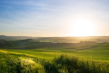Fotobehang Toscane Uniek groen landschap in de Orcia-vallei, Toscane, Italië. Ochtendlicht met mist en mist over gecultiveerde heuvelruggen en graanvelden.