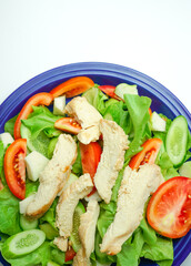 Salad with difference lettuce tomato and baked chicken breast on blue dish