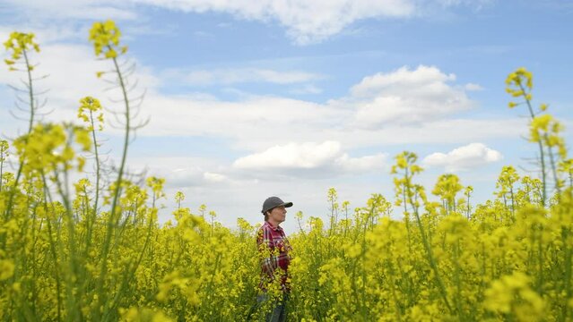 Farmer agronomist examining blooming rapeseed crops field and looking over plantation