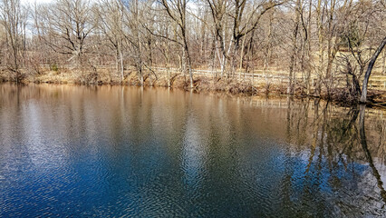 Fresh spring day at the park