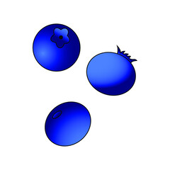 blueberries on white vector illustration