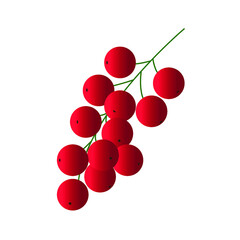 red currant isolated on white