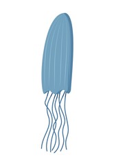Jellyfish elongated, underwater marine animal. Isolated blue vector