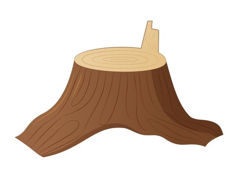 Stump, cut down tree with roots.Vector isolated object in cartoon style.