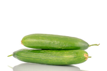 Two juicy smooth cucumbers, macro isolated on a white background.