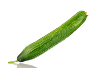 One juicy smooth cucumber, macro, isolated on a white background.