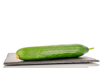 One juicy smooth cucumber on a slate stone, macro, isolated on a white background.