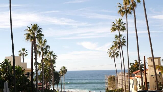 Row of palm trees on street , waterfront city near Los Angeles, California coast, southern USA. Palmtrees by ocean beach, summer vacations aesthetic. Tropical palms on sunny day. Sunshine and blue sky