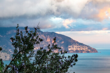 Selective soft focus on bush blowing in wind at golden light, blurred sea on background. Distant view on coastal town Positano in Campania, Italy, Europe. Sunset over Mediterranean sea, Amalfi Coast