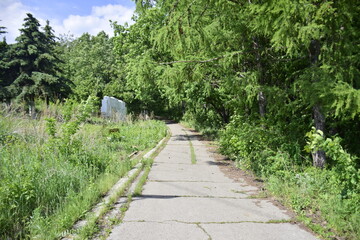 The path in the Friendship of Peoples Park. The widest point of the Volga River. Ulyanovsk (Simbirsk), Russia