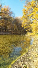 Осениий пейзаж