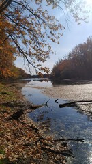 Осениий пейзаж