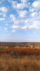 Осениий пейзаж