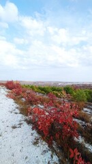 Осениий пейзаж